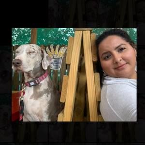 Meet your Posher, Elsa